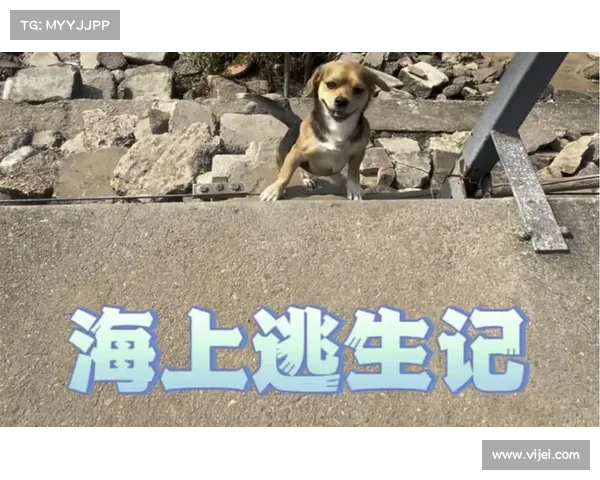 逃离海滩 攻略 逃离海滩 攻略